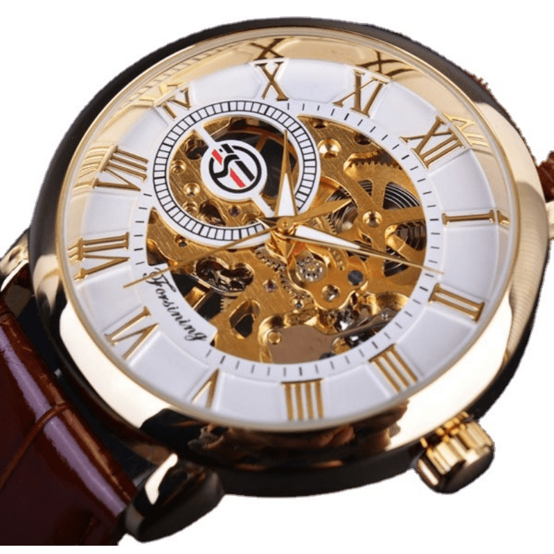 Men's Watches Mechanical Watches Forsining