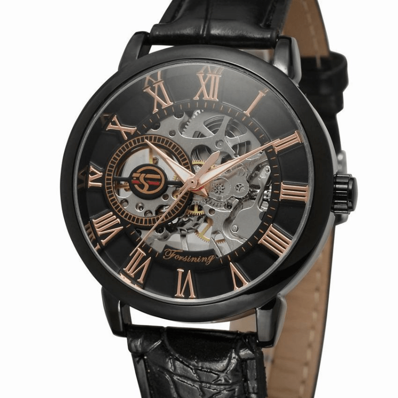 Men's Watches Mechanical Watches Forsining