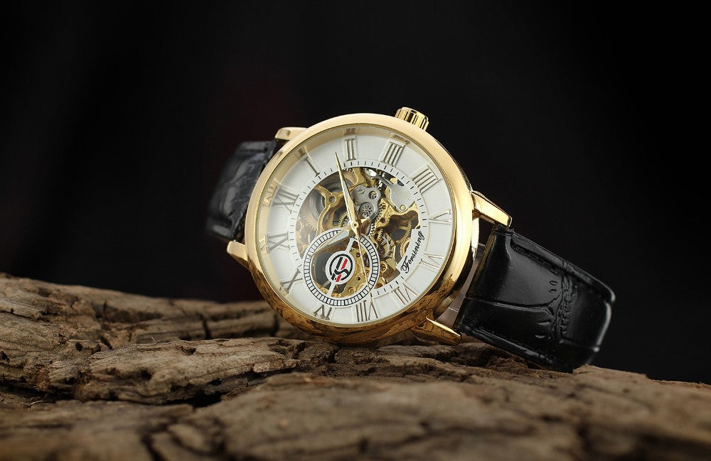 Men's Watches Mechanical Watches Forsining