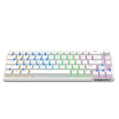 65-key USB Wired, Gaming Mini Keyboard, RGB Lighting